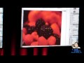 Adobe CS5 Roadshow 2010 - Designing for multiple surfaces Part 1