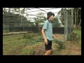 WWF Earth Hour Awards 2012 - Luke&#039;s Garden (Gordonvale State School, Education Award Finalists)