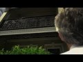 The Terrace's Defining Feature