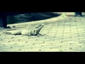 The Lizard by Cameron Murphy