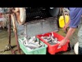 MSC - Sustainable fishing community Australia