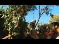 Places We Go - Kangaroo Island Pt. 1 | Official Subaru Australia