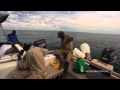 Coast Australia WEB EXCLUSIVE Thamarrurr Range