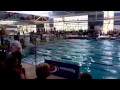 State Teams Boys 16/17 50m Free skins