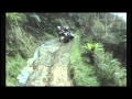 Quad bikes out of control