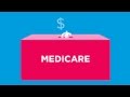 WHAT IS THE MEDICARE LEVY SURCHARGE (MLS)?