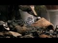 Mankind - Bronze