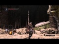 Dark Souls 2 - How To Play Video