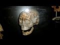 Mankind - The Earliest Humans