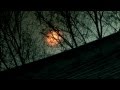 Mankind - Japan