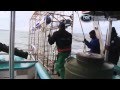 RUGBY HQ - SHARK DIVING WITH CLARKIE AND KAFE
