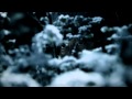Mankind - Fur Trade