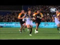 Fox Rugby: Beginners guide to the Brumbies