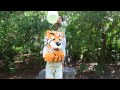 Australia Zoo and Khan the tiger do the ALS Ice Bucket Challenge!