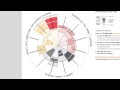 TfEL Compass tutorial – polar maps