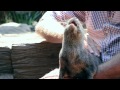 Campo tests out Australia Zoo&#039;s otter encounter!