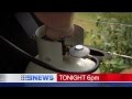 Backyard Barbeque Warning | 9 News Melbourne