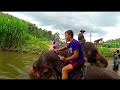 ✈ VLOG 221 - Elephants, We Loved Them! | Backpacking Around The World! (Thailand)