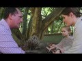 Campo tests out Australia Zoo&#039;s echidna encounter!