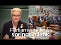 Parliament House springs a leak