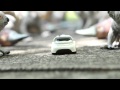 BEACHKHANA Trailer