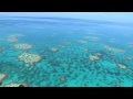 Great Barrier Reef Cruise