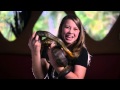 Earth Hour 2015 - Bindi Irwin - Are You Scared of the Dark?