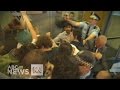 Exclusive: Protesters pepper-sprayed at Pyne presentation