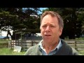 ANZ Business Banking case study - Tasmanian Quality Meats