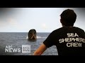 Sea Shepherd rescue crew from sinking ship