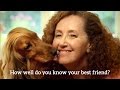 How well do you know your best friend? 60s TVC