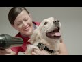 Virgin Australia launches dedicated airport lounge for pets