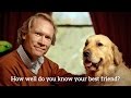 How well do you know your best friend? 30s TVC